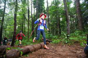 BIB: 1351, 
                            <button type="button" onclick="openModal(13465762)" class="btn btn-primary btn-sm float-right btn-popup" data-toggle="modal" data-target=".modal-high-quality">
                        <i class="fas fa-shopping-cart"></i> Add to Cart
                    </button>
                                            <button type="button" onclick="isThisMe(13465762, true)" class="btn btn-success btn-sm float-right btn-popup btn-isme hidden" data-toggle="tooltip" data-placement="bottom" title="นี่คือรูปของคุณใช่ไหม คลิกที่นี่เพื่อเอาเข้าอัลบั้ม">
                        <i class="fas fa-plus"></i> Add to album
                    </button>
                    <button type="button" onclick="isThisMe(13465762, false)" class="btn btn-warning btn-sm float-right btn-popup btn-isnotme hidden">
                        <i class="fas fa-ban"></i> Remove from album
                    </button>