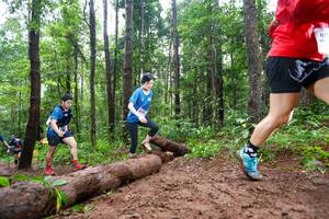 BIB: 
                            <button type="button" onclick="openModal(13466518)" class="btn btn-primary btn-sm float-right btn-popup" data-toggle="modal" data-target=".modal-high-quality">
                        <i class="fas fa-shopping-cart"></i> Add to Cart
                    </button>
                                            <button type="button" onclick="isThisMe(13466518, true)" class="btn btn-success btn-sm float-right btn-popup btn-isme hidden" data-toggle="tooltip" data-placement="bottom" title="นี่คือรูปของคุณใช่ไหม คลิกที่นี่เพื่อเอาเข้าอัลบั้ม">
                        <i class="fas fa-plus"></i> Add to album
                    </button>
                    <button type="button" onclick="isThisMe(13466518, false)" class="btn btn-warning btn-sm float-right btn-popup btn-isnotme hidden">
                        <i class="fas fa-ban"></i> Remove from album
                    </button>