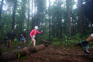 BIB: 
                            <button type="button" onclick="openModal(13465488)" class="btn btn-primary btn-sm float-right btn-popup" data-toggle="modal" data-target=".modal-high-quality">
                        <i class="fas fa-shopping-cart"></i> Add to Cart
                    </button>
                                            <button type="button" onclick="isThisMe(13465488, true)" class="btn btn-success btn-sm float-right btn-popup btn-isme hidden" data-toggle="tooltip" data-placement="bottom" title="นี่คือรูปของคุณใช่ไหม คลิกที่นี่เพื่อเอาเข้าอัลบั้ม">
                        <i class="fas fa-plus"></i> Add to album
                    </button>
                    <button type="button" onclick="isThisMe(13465488, false)" class="btn btn-warning btn-sm float-right btn-popup btn-isnotme hidden">
                        <i class="fas fa-ban"></i> Remove from album
                    </button>