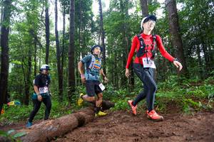 BIB: 
                            <button type="button" onclick="openModal(13467149)" class="btn btn-primary btn-sm float-right btn-popup" data-toggle="modal" data-target=".modal-high-quality">
                        <i class="fas fa-shopping-cart"></i> Add to Cart
                    </button>
                                            <button type="button" onclick="isThisMe(13467149, true)" class="btn btn-success btn-sm float-right btn-popup btn-isme hidden" data-toggle="tooltip" data-placement="bottom" title="นี่คือรูปของคุณใช่ไหม คลิกที่นี่เพื่อเอาเข้าอัลบั้ม">
                        <i class="fas fa-plus"></i> Add to album
                    </button>
                    <button type="button" onclick="isThisMe(13467149, false)" class="btn btn-warning btn-sm float-right btn-popup btn-isnotme hidden">
                        <i class="fas fa-ban"></i> Remove from album
                    </button>