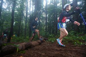 BIB: 
                            <button type="button" onclick="openModal(13465504)" class="btn btn-primary btn-sm float-right btn-popup" data-toggle="modal" data-target=".modal-high-quality">
                        <i class="fas fa-shopping-cart"></i> Add to Cart
                    </button>
                                            <button type="button" onclick="isThisMe(13465504, true)" class="btn btn-success btn-sm float-right btn-popup btn-isme hidden" data-toggle="tooltip" data-placement="bottom" title="นี่คือรูปของคุณใช่ไหม คลิกที่นี่เพื่อเอาเข้าอัลบั้ม">
                        <i class="fas fa-plus"></i> Add to album
                    </button>
                    <button type="button" onclick="isThisMe(13465504, false)" class="btn btn-warning btn-sm float-right btn-popup btn-isnotme hidden">
                        <i class="fas fa-ban"></i> Remove from album
                    </button>