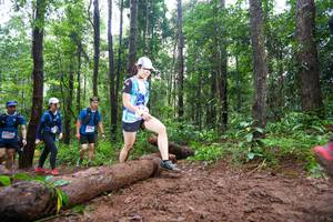 BIB: 
                            <button type="button" onclick="openModal(13466611)" class="btn btn-primary btn-sm float-right btn-popup" data-toggle="modal" data-target=".modal-high-quality">
                        <i class="fas fa-shopping-cart"></i> Add to Cart
                    </button>
                                            <button type="button" onclick="isThisMe(13466611, true)" class="btn btn-success btn-sm float-right btn-popup btn-isme hidden" data-toggle="tooltip" data-placement="bottom" title="นี่คือรูปของคุณใช่ไหม คลิกที่นี่เพื่อเอาเข้าอัลบั้ม">
                        <i class="fas fa-plus"></i> Add to album
                    </button>
                    <button type="button" onclick="isThisMe(13466611, false)" class="btn btn-warning btn-sm float-right btn-popup btn-isnotme hidden">
                        <i class="fas fa-ban"></i> Remove from album
                    </button>