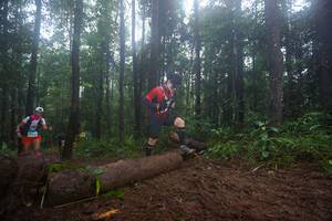 BIB: 
                            <button type="button" onclick="openModal(13465588)" class="btn btn-primary btn-sm float-right btn-popup" data-toggle="modal" data-target=".modal-high-quality">
                        <i class="fas fa-shopping-cart"></i> Add to Cart
                    </button>
                                            <button type="button" onclick="isThisMe(13465588, true)" class="btn btn-success btn-sm float-right btn-popup btn-isme hidden" data-toggle="tooltip" data-placement="bottom" title="นี่คือรูปของคุณใช่ไหม คลิกที่นี่เพื่อเอาเข้าอัลบั้ม">
                        <i class="fas fa-plus"></i> Add to album
                    </button>
                    <button type="button" onclick="isThisMe(13465588, false)" class="btn btn-warning btn-sm float-right btn-popup btn-isnotme hidden">
                        <i class="fas fa-ban"></i> Remove from album
                    </button>