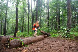 BIB: 
                            <button type="button" onclick="openModal(13466278)" class="btn btn-primary btn-sm float-right btn-popup" data-toggle="modal" data-target=".modal-high-quality">
                        <i class="fas fa-shopping-cart"></i> Add to Cart
                    </button>
                                            <button type="button" onclick="isThisMe(13466278, true)" class="btn btn-success btn-sm float-right btn-popup btn-isme hidden" data-toggle="tooltip" data-placement="bottom" title="นี่คือรูปของคุณใช่ไหม คลิกที่นี่เพื่อเอาเข้าอัลบั้ม">
                        <i class="fas fa-plus"></i> Add to album
                    </button>
                    <button type="button" onclick="isThisMe(13466278, false)" class="btn btn-warning btn-sm float-right btn-popup btn-isnotme hidden">
                        <i class="fas fa-ban"></i> Remove from album
                    </button>