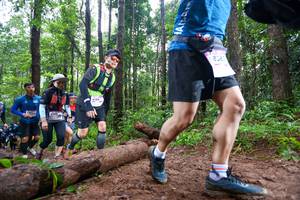 BIB: 
                            <button type="button" onclick="openModal(13466657)" class="btn btn-primary btn-sm float-right btn-popup" data-toggle="modal" data-target=".modal-high-quality">
                        <i class="fas fa-shopping-cart"></i> Add to Cart
                    </button>
                                            <button type="button" onclick="isThisMe(13466657, true)" class="btn btn-success btn-sm float-right btn-popup btn-isme hidden" data-toggle="tooltip" data-placement="bottom" title="นี่คือรูปของคุณใช่ไหม คลิกที่นี่เพื่อเอาเข้าอัลบั้ม">
                        <i class="fas fa-plus"></i> Add to album
                    </button>
                    <button type="button" onclick="isThisMe(13466657, false)" class="btn btn-warning btn-sm float-right btn-popup btn-isnotme hidden">
                        <i class="fas fa-ban"></i> Remove from album
                    </button>