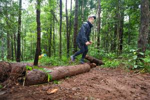 BIB: 
                            <button type="button" onclick="openModal(13466354)" class="btn btn-primary btn-sm float-right btn-popup" data-toggle="modal" data-target=".modal-high-quality">
                        <i class="fas fa-shopping-cart"></i> Add to Cart
                    </button>
                                            <button type="button" onclick="isThisMe(13466354, true)" class="btn btn-success btn-sm float-right btn-popup btn-isme hidden" data-toggle="tooltip" data-placement="bottom" title="นี่คือรูปของคุณใช่ไหม คลิกที่นี่เพื่อเอาเข้าอัลบั้ม">
                        <i class="fas fa-plus"></i> Add to album
                    </button>
                    <button type="button" onclick="isThisMe(13466354, false)" class="btn btn-warning btn-sm float-right btn-popup btn-isnotme hidden">
                        <i class="fas fa-ban"></i> Remove from album
                    </button>