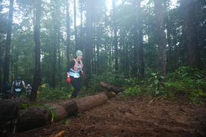 BIB: 
                            <button type="button" onclick="openModal(13466136)" class="btn btn-primary btn-sm float-right btn-popup" data-toggle="modal" data-target=".modal-high-quality">
                        <i class="fas fa-shopping-cart"></i> Add to Cart
                    </button>
                                            <button type="button" onclick="isThisMe(13466136, true)" class="btn btn-success btn-sm float-right btn-popup btn-isme hidden" data-toggle="tooltip" data-placement="bottom" title="นี่คือรูปของคุณใช่ไหม คลิกที่นี่เพื่อเอาเข้าอัลบั้ม">
                        <i class="fas fa-plus"></i> Add to album
                    </button>
                    <button type="button" onclick="isThisMe(13466136, false)" class="btn btn-warning btn-sm float-right btn-popup btn-isnotme hidden">
                        <i class="fas fa-ban"></i> Remove from album
                    </button>