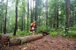 BIB: 
                            <button type="button" onclick="openModal(13466277)" class="btn btn-primary btn-sm float-right btn-popup" data-toggle="modal" data-target=".modal-high-quality">
                        <i class="fas fa-shopping-cart"></i> Add to Cart
                    </button>
                                            <button type="button" onclick="isThisMe(13466277, true)" class="btn btn-success btn-sm float-right btn-popup btn-isme hidden" data-toggle="tooltip" data-placement="bottom" title="นี่คือรูปของคุณใช่ไหม คลิกที่นี่เพื่อเอาเข้าอัลบั้ม">
                        <i class="fas fa-plus"></i> Add to album
                    </button>
                    <button type="button" onclick="isThisMe(13466277, false)" class="btn btn-warning btn-sm float-right btn-popup btn-isnotme hidden">
                        <i class="fas fa-ban"></i> Remove from album
                    </button>