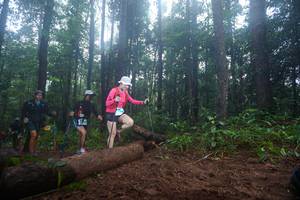 BIB: 
                            <button type="button" onclick="openModal(13465491)" class="btn btn-primary btn-sm float-right btn-popup" data-toggle="modal" data-target=".modal-high-quality">
                        <i class="fas fa-shopping-cart"></i> Add to Cart
                    </button>
                                            <button type="button" onclick="isThisMe(13465491, true)" class="btn btn-success btn-sm float-right btn-popup btn-isme hidden" data-toggle="tooltip" data-placement="bottom" title="นี่คือรูปของคุณใช่ไหม คลิกที่นี่เพื่อเอาเข้าอัลบั้ม">
                        <i class="fas fa-plus"></i> Add to album
                    </button>
                    <button type="button" onclick="isThisMe(13465491, false)" class="btn btn-warning btn-sm float-right btn-popup btn-isnotme hidden">
                        <i class="fas fa-ban"></i> Remove from album
                    </button>