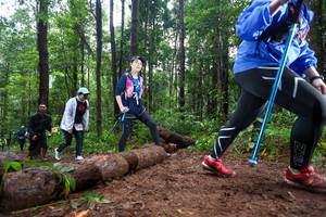 BIB: 
                            <button type="button" onclick="openModal(13467070)" class="btn btn-primary btn-sm float-right btn-popup" data-toggle="modal" data-target=".modal-high-quality">
                        <i class="fas fa-shopping-cart"></i> Add to Cart
                    </button>
                                            <button type="button" onclick="isThisMe(13467070, true)" class="btn btn-success btn-sm float-right btn-popup btn-isme hidden" data-toggle="tooltip" data-placement="bottom" title="นี่คือรูปของคุณใช่ไหม คลิกที่นี่เพื่อเอาเข้าอัลบั้ม">
                        <i class="fas fa-plus"></i> Add to album
                    </button>
                    <button type="button" onclick="isThisMe(13467070, false)" class="btn btn-warning btn-sm float-right btn-popup btn-isnotme hidden">
                        <i class="fas fa-ban"></i> Remove from album
                    </button>