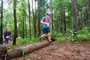 BIB: 
                            <button type="button" onclick="openModal(13466381)" class="btn btn-primary btn-sm float-right btn-popup" data-toggle="modal" data-target=".modal-high-quality">
                        <i class="fas fa-shopping-cart"></i> Add to Cart
                    </button>
                                            <button type="button" onclick="isThisMe(13466381, true)" class="btn btn-success btn-sm float-right btn-popup btn-isme hidden" data-toggle="tooltip" data-placement="bottom" title="นี่คือรูปของคุณใช่ไหม คลิกที่นี่เพื่อเอาเข้าอัลบั้ม">
                        <i class="fas fa-plus"></i> Add to album
                    </button>
                    <button type="button" onclick="isThisMe(13466381, false)" class="btn btn-warning btn-sm float-right btn-popup btn-isnotme hidden">
                        <i class="fas fa-ban"></i> Remove from album
                    </button>