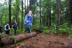 BIB: 
                            <button type="button" onclick="openModal(13467069)" class="btn btn-primary btn-sm float-right btn-popup" data-toggle="modal" data-target=".modal-high-quality">
                        <i class="fas fa-shopping-cart"></i> Add to Cart
                    </button>
                                            <button type="button" onclick="isThisMe(13467069, true)" class="btn btn-success btn-sm float-right btn-popup btn-isme hidden" data-toggle="tooltip" data-placement="bottom" title="นี่คือรูปของคุณใช่ไหม คลิกที่นี่เพื่อเอาเข้าอัลบั้ม">
                        <i class="fas fa-plus"></i> Add to album
                    </button>
                    <button type="button" onclick="isThisMe(13467069, false)" class="btn btn-warning btn-sm float-right btn-popup btn-isnotme hidden">
                        <i class="fas fa-ban"></i> Remove from album
                    </button>