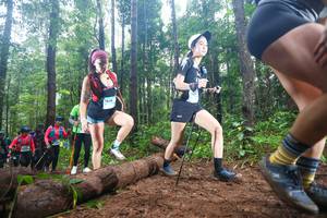 BIB: 
                            <button type="button" onclick="openModal(13465782)" class="btn btn-primary btn-sm float-right btn-popup" data-toggle="modal" data-target=".modal-high-quality">
                        <i class="fas fa-shopping-cart"></i> Add to Cart
                    </button>
                                            <button type="button" onclick="isThisMe(13465782, true)" class="btn btn-success btn-sm float-right btn-popup btn-isme hidden" data-toggle="tooltip" data-placement="bottom" title="นี่คือรูปของคุณใช่ไหม คลิกที่นี่เพื่อเอาเข้าอัลบั้ม">
                        <i class="fas fa-plus"></i> Add to album
                    </button>
                    <button type="button" onclick="isThisMe(13465782, false)" class="btn btn-warning btn-sm float-right btn-popup btn-isnotme hidden">
                        <i class="fas fa-ban"></i> Remove from album
                    </button>