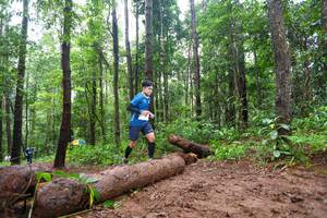 BIB: 
                            <button type="button" onclick="openModal(13466317)" class="btn btn-primary btn-sm float-right btn-popup" data-toggle="modal" data-target=".modal-high-quality">
                        <i class="fas fa-shopping-cart"></i> Add to Cart
                    </button>
                                            <button type="button" onclick="isThisMe(13466317, true)" class="btn btn-success btn-sm float-right btn-popup btn-isme hidden" data-toggle="tooltip" data-placement="bottom" title="นี่คือรูปของคุณใช่ไหม คลิกที่นี่เพื่อเอาเข้าอัลบั้ม">
                        <i class="fas fa-plus"></i> Add to album
                    </button>
                    <button type="button" onclick="isThisMe(13466317, false)" class="btn btn-warning btn-sm float-right btn-popup btn-isnotme hidden">
                        <i class="fas fa-ban"></i> Remove from album
                    </button>