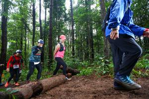 BIB: 
                            <button type="button" onclick="openModal(13467130)" class="btn btn-primary btn-sm float-right btn-popup" data-toggle="modal" data-target=".modal-high-quality">
                        <i class="fas fa-shopping-cart"></i> Add to Cart
                    </button>
                                            <button type="button" onclick="isThisMe(13467130, true)" class="btn btn-success btn-sm float-right btn-popup btn-isme hidden" data-toggle="tooltip" data-placement="bottom" title="นี่คือรูปของคุณใช่ไหม คลิกที่นี่เพื่อเอาเข้าอัลบั้ม">
                        <i class="fas fa-plus"></i> Add to album
                    </button>
                    <button type="button" onclick="isThisMe(13467130, false)" class="btn btn-warning btn-sm float-right btn-popup btn-isnotme hidden">
                        <i class="fas fa-ban"></i> Remove from album
                    </button>