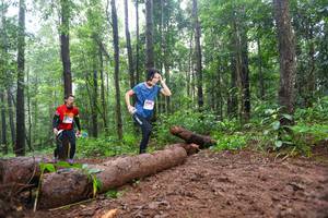 BIB: 
                            <button type="button" onclick="openModal(13466288)" class="btn btn-primary btn-sm float-right btn-popup" data-toggle="modal" data-target=".modal-high-quality">
                        <i class="fas fa-shopping-cart"></i> Add to Cart
                    </button>
                                            <button type="button" onclick="isThisMe(13466288, true)" class="btn btn-success btn-sm float-right btn-popup btn-isme hidden" data-toggle="tooltip" data-placement="bottom" title="นี่คือรูปของคุณใช่ไหม คลิกที่นี่เพื่อเอาเข้าอัลบั้ม">
                        <i class="fas fa-plus"></i> Add to album
                    </button>
                    <button type="button" onclick="isThisMe(13466288, false)" class="btn btn-warning btn-sm float-right btn-popup btn-isnotme hidden">
                        <i class="fas fa-ban"></i> Remove from album
                    </button>