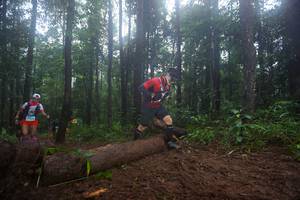 BIB: 
                            <button type="button" onclick="openModal(13465589)" class="btn btn-primary btn-sm float-right btn-popup" data-toggle="modal" data-target=".modal-high-quality">
                        <i class="fas fa-shopping-cart"></i> Add to Cart
                    </button>
                                            <button type="button" onclick="isThisMe(13465589, true)" class="btn btn-success btn-sm float-right btn-popup btn-isme hidden" data-toggle="tooltip" data-placement="bottom" title="นี่คือรูปของคุณใช่ไหม คลิกที่นี่เพื่อเอาเข้าอัลบั้ม">
                        <i class="fas fa-plus"></i> Add to album
                    </button>
                    <button type="button" onclick="isThisMe(13465589, false)" class="btn btn-warning btn-sm float-right btn-popup btn-isnotme hidden">
                        <i class="fas fa-ban"></i> Remove from album
                    </button>