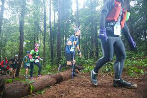 BIB: 
                            <button type="button" onclick="openModal(13465931)" class="btn btn-primary btn-sm float-right btn-popup" data-toggle="modal" data-target=".modal-high-quality">
                        <i class="fas fa-shopping-cart"></i> Add to Cart
                    </button>
                                            <button type="button" onclick="isThisMe(13465931, true)" class="btn btn-success btn-sm float-right btn-popup btn-isme hidden" data-toggle="tooltip" data-placement="bottom" title="นี่คือรูปของคุณใช่ไหม คลิกที่นี่เพื่อเอาเข้าอัลบั้ม">
                        <i class="fas fa-plus"></i> Add to album
                    </button>
                    <button type="button" onclick="isThisMe(13465931, false)" class="btn btn-warning btn-sm float-right btn-popup btn-isnotme hidden">
                        <i class="fas fa-ban"></i> Remove from album
                    </button>