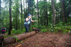 BIB: 
                            <button type="button" onclick="openModal(13466179)" class="btn btn-primary btn-sm float-right btn-popup" data-toggle="modal" data-target=".modal-high-quality">
                        <i class="fas fa-shopping-cart"></i> Add to Cart
                    </button>
                                            <button type="button" onclick="isThisMe(13466179, true)" class="btn btn-success btn-sm float-right btn-popup btn-isme hidden" data-toggle="tooltip" data-placement="bottom" title="นี่คือรูปของคุณใช่ไหม คลิกที่นี่เพื่อเอาเข้าอัลบั้ม">
                        <i class="fas fa-plus"></i> Add to album
                    </button>
                    <button type="button" onclick="isThisMe(13466179, false)" class="btn btn-warning btn-sm float-right btn-popup btn-isnotme hidden">
                        <i class="fas fa-ban"></i> Remove from album
                    </button>