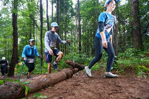 BIB: 
                            <button type="button" onclick="openModal(13466786)" class="btn btn-primary btn-sm float-right btn-popup" data-toggle="modal" data-target=".modal-high-quality">
                        <i class="fas fa-shopping-cart"></i> Add to Cart
                    </button>
                                            <button type="button" onclick="isThisMe(13466786, true)" class="btn btn-success btn-sm float-right btn-popup btn-isme hidden" data-toggle="tooltip" data-placement="bottom" title="นี่คือรูปของคุณใช่ไหม คลิกที่นี่เพื่อเอาเข้าอัลบั้ม">
                        <i class="fas fa-plus"></i> Add to album
                    </button>
                    <button type="button" onclick="isThisMe(13466786, false)" class="btn btn-warning btn-sm float-right btn-popup btn-isnotme hidden">
                        <i class="fas fa-ban"></i> Remove from album
                    </button>