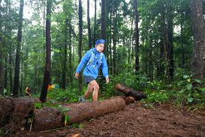 BIB: 
                            <button type="button" onclick="openModal(13466245)" class="btn btn-primary btn-sm float-right btn-popup" data-toggle="modal" data-target=".modal-high-quality">
                        <i class="fas fa-shopping-cart"></i> Add to Cart
                    </button>
                                            <button type="button" onclick="isThisMe(13466245, true)" class="btn btn-success btn-sm float-right btn-popup btn-isme hidden" data-toggle="tooltip" data-placement="bottom" title="นี่คือรูปของคุณใช่ไหม คลิกที่นี่เพื่อเอาเข้าอัลบั้ม">
                        <i class="fas fa-plus"></i> Add to album
                    </button>
                    <button type="button" onclick="isThisMe(13466245, false)" class="btn btn-warning btn-sm float-right btn-popup btn-isnotme hidden">
                        <i class="fas fa-ban"></i> Remove from album
                    </button>