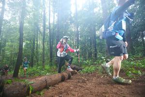 BIB: 
                            <button type="button" onclick="openModal(13465950)" class="btn btn-primary btn-sm float-right btn-popup" data-toggle="modal" data-target=".modal-high-quality">
                        <i class="fas fa-shopping-cart"></i> Add to Cart
                    </button>
                                            <button type="button" onclick="isThisMe(13465950, true)" class="btn btn-success btn-sm float-right btn-popup btn-isme hidden" data-toggle="tooltip" data-placement="bottom" title="นี่คือรูปของคุณใช่ไหม คลิกที่นี่เพื่อเอาเข้าอัลบั้ม">
                        <i class="fas fa-plus"></i> Add to album
                    </button>
                    <button type="button" onclick="isThisMe(13465950, false)" class="btn btn-warning btn-sm float-right btn-popup btn-isnotme hidden">
                        <i class="fas fa-ban"></i> Remove from album
                    </button>