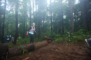 BIB: 
                            <button type="button" onclick="openModal(13466134)" class="btn btn-primary btn-sm float-right btn-popup" data-toggle="modal" data-target=".modal-high-quality">
                        <i class="fas fa-shopping-cart"></i> Add to Cart
                    </button>
                                            <button type="button" onclick="isThisMe(13466134, true)" class="btn btn-success btn-sm float-right btn-popup btn-isme hidden" data-toggle="tooltip" data-placement="bottom" title="นี่คือรูปของคุณใช่ไหม คลิกที่นี่เพื่อเอาเข้าอัลบั้ม">
                        <i class="fas fa-plus"></i> Add to album
                    </button>
                    <button type="button" onclick="isThisMe(13466134, false)" class="btn btn-warning btn-sm float-right btn-popup btn-isnotme hidden">
                        <i class="fas fa-ban"></i> Remove from album
                    </button>