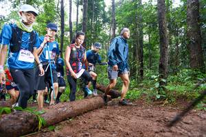 BIB: 8403, 
                            <button type="button" onclick="openModal(13466667)" class="btn btn-primary btn-sm float-right btn-popup" data-toggle="modal" data-target=".modal-high-quality">
                        <i class="fas fa-shopping-cart"></i> Add to Cart
                    </button>
                                            <button type="button" onclick="isThisMe(13466667, true)" class="btn btn-success btn-sm float-right btn-popup btn-isme hidden" data-toggle="tooltip" data-placement="bottom" title="นี่คือรูปของคุณใช่ไหม คลิกที่นี่เพื่อเอาเข้าอัลบั้ม">
                        <i class="fas fa-plus"></i> Add to album
                    </button>
                    <button type="button" onclick="isThisMe(13466667, false)" class="btn btn-warning btn-sm float-right btn-popup btn-isnotme hidden">
                        <i class="fas fa-ban"></i> Remove from album
                    </button>