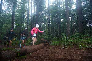 BIB: 
                            <button type="button" onclick="openModal(13465492)" class="btn btn-primary btn-sm float-right btn-popup" data-toggle="modal" data-target=".modal-high-quality">
                        <i class="fas fa-shopping-cart"></i> Add to Cart
                    </button>
                                            <button type="button" onclick="isThisMe(13465492, true)" class="btn btn-success btn-sm float-right btn-popup btn-isme hidden" data-toggle="tooltip" data-placement="bottom" title="นี่คือรูปของคุณใช่ไหม คลิกที่นี่เพื่อเอาเข้าอัลบั้ม">
                        <i class="fas fa-plus"></i> Add to album
                    </button>
                    <button type="button" onclick="isThisMe(13465492, false)" class="btn btn-warning btn-sm float-right btn-popup btn-isnotme hidden">
                        <i class="fas fa-ban"></i> Remove from album
                    </button>