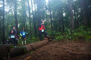 BIB: 
                            <button type="button" onclick="openModal(13466108)" class="btn btn-primary btn-sm float-right btn-popup" data-toggle="modal" data-target=".modal-high-quality">
                        <i class="fas fa-shopping-cart"></i> Add to Cart
                    </button>
                                            <button type="button" onclick="isThisMe(13466108, true)" class="btn btn-success btn-sm float-right btn-popup btn-isme hidden" data-toggle="tooltip" data-placement="bottom" title="นี่คือรูปของคุณใช่ไหม คลิกที่นี่เพื่อเอาเข้าอัลบั้ม">
                        <i class="fas fa-plus"></i> Add to album
                    </button>
                    <button type="button" onclick="isThisMe(13466108, false)" class="btn btn-warning btn-sm float-right btn-popup btn-isnotme hidden">
                        <i class="fas fa-ban"></i> Remove from album
                    </button>