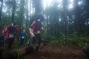 BIB: 1633
                            <button type="button" onclick="openModal(13465738)" class="btn btn-primary btn-sm float-right btn-popup" data-toggle="modal" data-target=".modal-high-quality">
                        <i class="fas fa-shopping-cart"></i> Add to Cart
                    </button>
                                            <button type="button" onclick="isThisMe(13465738, true)" class="btn btn-success btn-sm float-right btn-popup btn-isme hidden" data-toggle="tooltip" data-placement="bottom" title="นี่คือรูปของคุณใช่ไหม คลิกที่นี่เพื่อเอาเข้าอัลบั้ม">
                        <i class="fas fa-plus"></i> Add to album
                    </button>
                    <button type="button" onclick="isThisMe(13465738, false)" class="btn btn-warning btn-sm float-right btn-popup btn-isnotme hidden">
                        <i class="fas fa-ban"></i> Remove from album
                    </button>