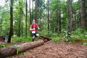 BIB: 
                            <button type="button" onclick="openModal(13466494)" class="btn btn-primary btn-sm float-right btn-popup" data-toggle="modal" data-target=".modal-high-quality">
                        <i class="fas fa-shopping-cart"></i> Add to Cart
                    </button>
                                            <button type="button" onclick="isThisMe(13466494, true)" class="btn btn-success btn-sm float-right btn-popup btn-isme hidden" data-toggle="tooltip" data-placement="bottom" title="นี่คือรูปของคุณใช่ไหม คลิกที่นี่เพื่อเอาเข้าอัลบั้ม">
                        <i class="fas fa-plus"></i> Add to album
                    </button>
                    <button type="button" onclick="isThisMe(13466494, false)" class="btn btn-warning btn-sm float-right btn-popup btn-isnotme hidden">
                        <i class="fas fa-ban"></i> Remove from album
                    </button>