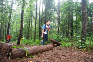 BIB: 
                            <button type="button" onclick="openModal(13466273)" class="btn btn-primary btn-sm float-right btn-popup" data-toggle="modal" data-target=".modal-high-quality">
                        <i class="fas fa-shopping-cart"></i> Add to Cart
                    </button>
                                            <button type="button" onclick="isThisMe(13466273, true)" class="btn btn-success btn-sm float-right btn-popup btn-isme hidden" data-toggle="tooltip" data-placement="bottom" title="นี่คือรูปของคุณใช่ไหม คลิกที่นี่เพื่อเอาเข้าอัลบั้ม">
                        <i class="fas fa-plus"></i> Add to album
                    </button>
                    <button type="button" onclick="isThisMe(13466273, false)" class="btn btn-warning btn-sm float-right btn-popup btn-isnotme hidden">
                        <i class="fas fa-ban"></i> Remove from album
                    </button>