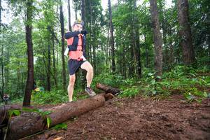 BIB: 
                            <button type="button" onclick="openModal(13465219)" class="btn btn-primary btn-sm float-right btn-popup" data-toggle="modal" data-target=".modal-high-quality">
                        <i class="fas fa-shopping-cart"></i> Add to Cart
                    </button>
                                            <button type="button" onclick="isThisMe(13465219, true)" class="btn btn-success btn-sm float-right btn-popup btn-isme hidden" data-toggle="tooltip" data-placement="bottom" title="นี่คือรูปของคุณใช่ไหม คลิกที่นี่เพื่อเอาเข้าอัลบั้ม">
                        <i class="fas fa-plus"></i> Add to album
                    </button>
                    <button type="button" onclick="isThisMe(13465219, false)" class="btn btn-warning btn-sm float-right btn-popup btn-isnotme hidden">
                        <i class="fas fa-ban"></i> Remove from album
                    </button>