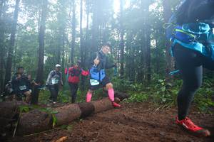 BIB: 
                            <button type="button" onclick="openModal(13466129)" class="btn btn-primary btn-sm float-right btn-popup" data-toggle="modal" data-target=".modal-high-quality">
                        <i class="fas fa-shopping-cart"></i> Add to Cart
                    </button>
                                            <button type="button" onclick="isThisMe(13466129, true)" class="btn btn-success btn-sm float-right btn-popup btn-isme hidden" data-toggle="tooltip" data-placement="bottom" title="นี่คือรูปของคุณใช่ไหม คลิกที่นี่เพื่อเอาเข้าอัลบั้ม">
                        <i class="fas fa-plus"></i> Add to album
                    </button>
                    <button type="button" onclick="isThisMe(13466129, false)" class="btn btn-warning btn-sm float-right btn-popup btn-isnotme hidden">
                        <i class="fas fa-ban"></i> Remove from album
                    </button>