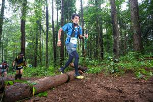 BIB: 
                            <button type="button" onclick="openModal(13465229)" class="btn btn-primary btn-sm float-right btn-popup" data-toggle="modal" data-target=".modal-high-quality">
                        <i class="fas fa-shopping-cart"></i> Add to Cart
                    </button>
                                            <button type="button" onclick="isThisMe(13465229, true)" class="btn btn-success btn-sm float-right btn-popup btn-isme hidden" data-toggle="tooltip" data-placement="bottom" title="นี่คือรูปของคุณใช่ไหม คลิกที่นี่เพื่อเอาเข้าอัลบั้ม">
                        <i class="fas fa-plus"></i> Add to album
                    </button>
                    <button type="button" onclick="isThisMe(13465229, false)" class="btn btn-warning btn-sm float-right btn-popup btn-isnotme hidden">
                        <i class="fas fa-ban"></i> Remove from album
                    </button>