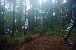 BIB: 
                            <button type="button" onclick="openModal(13466133)" class="btn btn-primary btn-sm float-right btn-popup" data-toggle="modal" data-target=".modal-high-quality">
                        <i class="fas fa-shopping-cart"></i> Add to Cart
                    </button>
                                            <button type="button" onclick="isThisMe(13466133, true)" class="btn btn-success btn-sm float-right btn-popup btn-isme hidden" data-toggle="tooltip" data-placement="bottom" title="นี่คือรูปของคุณใช่ไหม คลิกที่นี่เพื่อเอาเข้าอัลบั้ม">
                        <i class="fas fa-plus"></i> Add to album
                    </button>
                    <button type="button" onclick="isThisMe(13466133, false)" class="btn btn-warning btn-sm float-right btn-popup btn-isnotme hidden">
                        <i class="fas fa-ban"></i> Remove from album
                    </button>