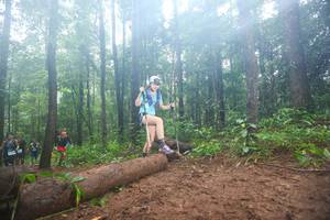 BIB: 
                            <button type="button" onclick="openModal(13465953)" class="btn btn-primary btn-sm float-right btn-popup" data-toggle="modal" data-target=".modal-high-quality">
                        <i class="fas fa-shopping-cart"></i> Add to Cart
                    </button>
                                            <button type="button" onclick="isThisMe(13465953, true)" class="btn btn-success btn-sm float-right btn-popup btn-isme hidden" data-toggle="tooltip" data-placement="bottom" title="นี่คือรูปของคุณใช่ไหม คลิกที่นี่เพื่อเอาเข้าอัลบั้ม">
                        <i class="fas fa-plus"></i> Add to album
                    </button>
                    <button type="button" onclick="isThisMe(13465953, false)" class="btn btn-warning btn-sm float-right btn-popup btn-isnotme hidden">
                        <i class="fas fa-ban"></i> Remove from album
                    </button>