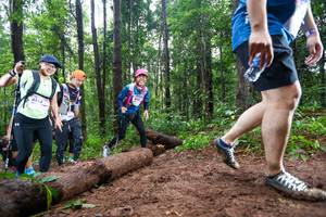 BIB: 8142
                            <button type="button" onclick="openModal(13466721)" class="btn btn-primary btn-sm float-right btn-popup" data-toggle="modal" data-target=".modal-high-quality">
                        <i class="fas fa-shopping-cart"></i> Add to Cart
                    </button>
                                            <button type="button" onclick="isThisMe(13466721, true)" class="btn btn-success btn-sm float-right btn-popup btn-isme hidden" data-toggle="tooltip" data-placement="bottom" title="นี่คือรูปของคุณใช่ไหม คลิกที่นี่เพื่อเอาเข้าอัลบั้ม">
                        <i class="fas fa-plus"></i> Add to album
                    </button>
                    <button type="button" onclick="isThisMe(13466721, false)" class="btn btn-warning btn-sm float-right btn-popup btn-isnotme hidden">
                        <i class="fas fa-ban"></i> Remove from album
                    </button>