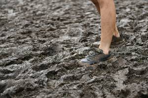 BIB: 
                            <button type="button" onclick="openModal(13499549)" class="btn btn-primary btn-sm float-right btn-popup" data-toggle="modal" data-target=".modal-high-quality">
                        <i class="fas fa-shopping-cart"></i> Add to Cart
                    </button>
                                            <button type="button" onclick="isThisMe(13499549, true)" class="btn btn-success btn-sm float-right btn-popup btn-isme hidden" data-toggle="tooltip" data-placement="bottom" title="นี่คือรูปของคุณใช่ไหม คลิกที่นี่เพื่อเอาเข้าอัลบั้ม">
                        <i class="fas fa-plus"></i> Add to album
                    </button>
                    <button type="button" onclick="isThisMe(13499549, false)" class="btn btn-warning btn-sm float-right btn-popup btn-isnotme hidden">
                        <i class="fas fa-ban"></i> Remove from album
                    </button>