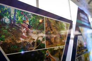 BIB: 
                            <button type="button" onclick="openModal(13503807)" class="btn btn-primary btn-sm float-right btn-popup" data-toggle="modal" data-target=".modal-high-quality">
                        <i class="fas fa-shopping-cart"></i> Add to Cart
                    </button>
                                            <button type="button" onclick="isThisMe(13503807, true)" class="btn btn-success btn-sm float-right btn-popup btn-isme hidden" data-toggle="tooltip" data-placement="bottom" title="นี่คือรูปของคุณใช่ไหม คลิกที่นี่เพื่อเอาเข้าอัลบั้ม">
                        <i class="fas fa-plus"></i> Add to album
                    </button>
                    <button type="button" onclick="isThisMe(13503807, false)" class="btn btn-warning btn-sm float-right btn-popup btn-isnotme hidden">
                        <i class="fas fa-ban"></i> Remove from album
                    </button>