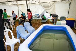 BIB: 
                            <button type="button" onclick="openModal(13506819)" class="btn btn-primary btn-sm float-right btn-popup" data-toggle="modal" data-target=".modal-high-quality">
                        <i class="fas fa-shopping-cart"></i> Add to Cart
                    </button>
                                            <button type="button" onclick="isThisMe(13506819, true)" class="btn btn-success btn-sm float-right btn-popup btn-isme hidden" data-toggle="tooltip" data-placement="bottom" title="นี่คือรูปของคุณใช่ไหม คลิกที่นี่เพื่อเอาเข้าอัลบั้ม">
                        <i class="fas fa-plus"></i> Add to album
                    </button>
                    <button type="button" onclick="isThisMe(13506819, false)" class="btn btn-warning btn-sm float-right btn-popup btn-isnotme hidden">
                        <i class="fas fa-ban"></i> Remove from album
                    </button>