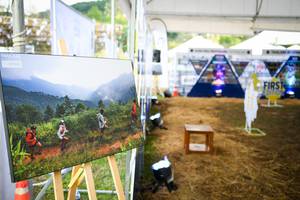 BIB: 
                            <button type="button" onclick="openModal(13503779)" class="btn btn-primary btn-sm float-right btn-popup" data-toggle="modal" data-target=".modal-high-quality">
                        <i class="fas fa-shopping-cart"></i> Add to Cart
                    </button>
                                            <button type="button" onclick="isThisMe(13503779, true)" class="btn btn-success btn-sm float-right btn-popup btn-isme hidden" data-toggle="tooltip" data-placement="bottom" title="นี่คือรูปของคุณใช่ไหม คลิกที่นี่เพื่อเอาเข้าอัลบั้ม">
                        <i class="fas fa-plus"></i> Add to album
                    </button>
                    <button type="button" onclick="isThisMe(13503779, false)" class="btn btn-warning btn-sm float-right btn-popup btn-isnotme hidden">
                        <i class="fas fa-ban"></i> Remove from album
                    </button>