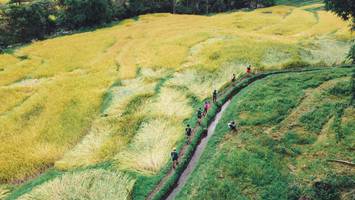 BIB: 
                            <button type="button" onclick="openModal(13497852)" class="btn btn-primary btn-sm float-right btn-popup" data-toggle="modal" data-target=".modal-high-quality">
                        <i class="fas fa-shopping-cart"></i> Add to Cart
                    </button>
                                            <button type="button" onclick="isThisMe(13497852, true)" class="btn btn-success btn-sm float-right btn-popup btn-isme hidden" data-toggle="tooltip" data-placement="bottom" title="นี่คือรูปของคุณใช่ไหม คลิกที่นี่เพื่อเอาเข้าอัลบั้ม">
                        <i class="fas fa-plus"></i> Add to album
                    </button>
                    <button type="button" onclick="isThisMe(13497852, false)" class="btn btn-warning btn-sm float-right btn-popup btn-isnotme hidden">
                        <i class="fas fa-ban"></i> Remove from album
                    </button>