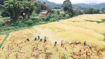 BIB: 
                            <button type="button" onclick="openModal(13497850)" class="btn btn-primary btn-sm float-right btn-popup" data-toggle="modal" data-target=".modal-high-quality">
                        <i class="fas fa-shopping-cart"></i> Add to Cart
                    </button>
                                            <button type="button" onclick="isThisMe(13497850, true)" class="btn btn-success btn-sm float-right btn-popup btn-isme hidden" data-toggle="tooltip" data-placement="bottom" title="นี่คือรูปของคุณใช่ไหม คลิกที่นี่เพื่อเอาเข้าอัลบั้ม">
                        <i class="fas fa-plus"></i> Add to album
                    </button>
                    <button type="button" onclick="isThisMe(13497850, false)" class="btn btn-warning btn-sm float-right btn-popup btn-isnotme hidden">
                        <i class="fas fa-ban"></i> Remove from album
                    </button>