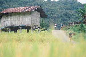 BIB: 
                            <button type="button" onclick="openModal(13496830)" class="btn btn-primary btn-sm float-right btn-popup" data-toggle="modal" data-target=".modal-high-quality">
                        <i class="fas fa-shopping-cart"></i> Add to Cart
                    </button>
                                            <button type="button" onclick="isThisMe(13496830, true)" class="btn btn-success btn-sm float-right btn-popup btn-isme hidden" data-toggle="tooltip" data-placement="bottom" title="นี่คือรูปของคุณใช่ไหม คลิกที่นี่เพื่อเอาเข้าอัลบั้ม">
                        <i class="fas fa-plus"></i> Add to album
                    </button>
                    <button type="button" onclick="isThisMe(13496830, false)" class="btn btn-warning btn-sm float-right btn-popup btn-isnotme hidden">
                        <i class="fas fa-ban"></i> Remove from album
                    </button>