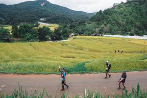 BIB: 
                            <button type="button" onclick="openModal(13496945)" class="btn btn-primary btn-sm float-right btn-popup" data-toggle="modal" data-target=".modal-high-quality">
                        <i class="fas fa-shopping-cart"></i> Add to Cart
                    </button>
                                            <button type="button" onclick="isThisMe(13496945, true)" class="btn btn-success btn-sm float-right btn-popup btn-isme hidden" data-toggle="tooltip" data-placement="bottom" title="นี่คือรูปของคุณใช่ไหม คลิกที่นี่เพื่อเอาเข้าอัลบั้ม">
                        <i class="fas fa-plus"></i> Add to album
                    </button>
                    <button type="button" onclick="isThisMe(13496945, false)" class="btn btn-warning btn-sm float-right btn-popup btn-isnotme hidden">
                        <i class="fas fa-ban"></i> Remove from album
                    </button>