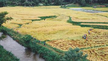 BIB: 
                            <button type="button" onclick="openModal(13497845)" class="btn btn-primary btn-sm float-right btn-popup" data-toggle="modal" data-target=".modal-high-quality">
                        <i class="fas fa-shopping-cart"></i> Add to Cart
                    </button>
                                            <button type="button" onclick="isThisMe(13497845, true)" class="btn btn-success btn-sm float-right btn-popup btn-isme hidden" data-toggle="tooltip" data-placement="bottom" title="นี่คือรูปของคุณใช่ไหม คลิกที่นี่เพื่อเอาเข้าอัลบั้ม">
                        <i class="fas fa-plus"></i> Add to album
                    </button>
                    <button type="button" onclick="isThisMe(13497845, false)" class="btn btn-warning btn-sm float-right btn-popup btn-isnotme hidden">
                        <i class="fas fa-ban"></i> Remove from album
                    </button>