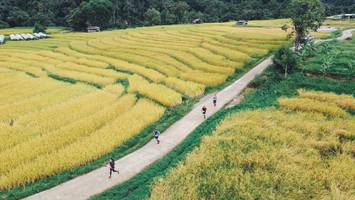 BIB: 
                            <button type="button" onclick="openModal(13497829)" class="btn btn-primary btn-sm float-right btn-popup" data-toggle="modal" data-target=".modal-high-quality">
                        <i class="fas fa-shopping-cart"></i> Add to Cart
                    </button>
                                            <button type="button" onclick="isThisMe(13497829, true)" class="btn btn-success btn-sm float-right btn-popup btn-isme hidden" data-toggle="tooltip" data-placement="bottom" title="นี่คือรูปของคุณใช่ไหม คลิกที่นี่เพื่อเอาเข้าอัลบั้ม">
                        <i class="fas fa-plus"></i> Add to album
                    </button>
                    <button type="button" onclick="isThisMe(13497829, false)" class="btn btn-warning btn-sm float-right btn-popup btn-isnotme hidden">
                        <i class="fas fa-ban"></i> Remove from album
                    </button>