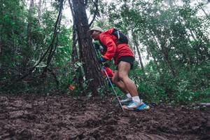 BIB: 
                            <button type="button" onclick="openModal(13496741)" class="btn btn-primary btn-sm float-right btn-popup" data-toggle="modal" data-target=".modal-high-quality">
                        <i class="fas fa-shopping-cart"></i> Add to Cart
                    </button>
                                            <button type="button" onclick="isThisMe(13496741, true)" class="btn btn-success btn-sm float-right btn-popup btn-isme hidden" data-toggle="tooltip" data-placement="bottom" title="นี่คือรูปของคุณใช่ไหม คลิกที่นี่เพื่อเอาเข้าอัลบั้ม">
                        <i class="fas fa-plus"></i> Add to album
                    </button>
                    <button type="button" onclick="isThisMe(13496741, false)" class="btn btn-warning btn-sm float-right btn-popup btn-isnotme hidden">
                        <i class="fas fa-ban"></i> Remove from album
                    </button>